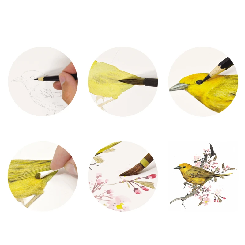 Antiquity Watercolor Painting Book Flower Bird Plant Animal Traditional Chinese Drawing Picture Album Drawing Technique Tutorial