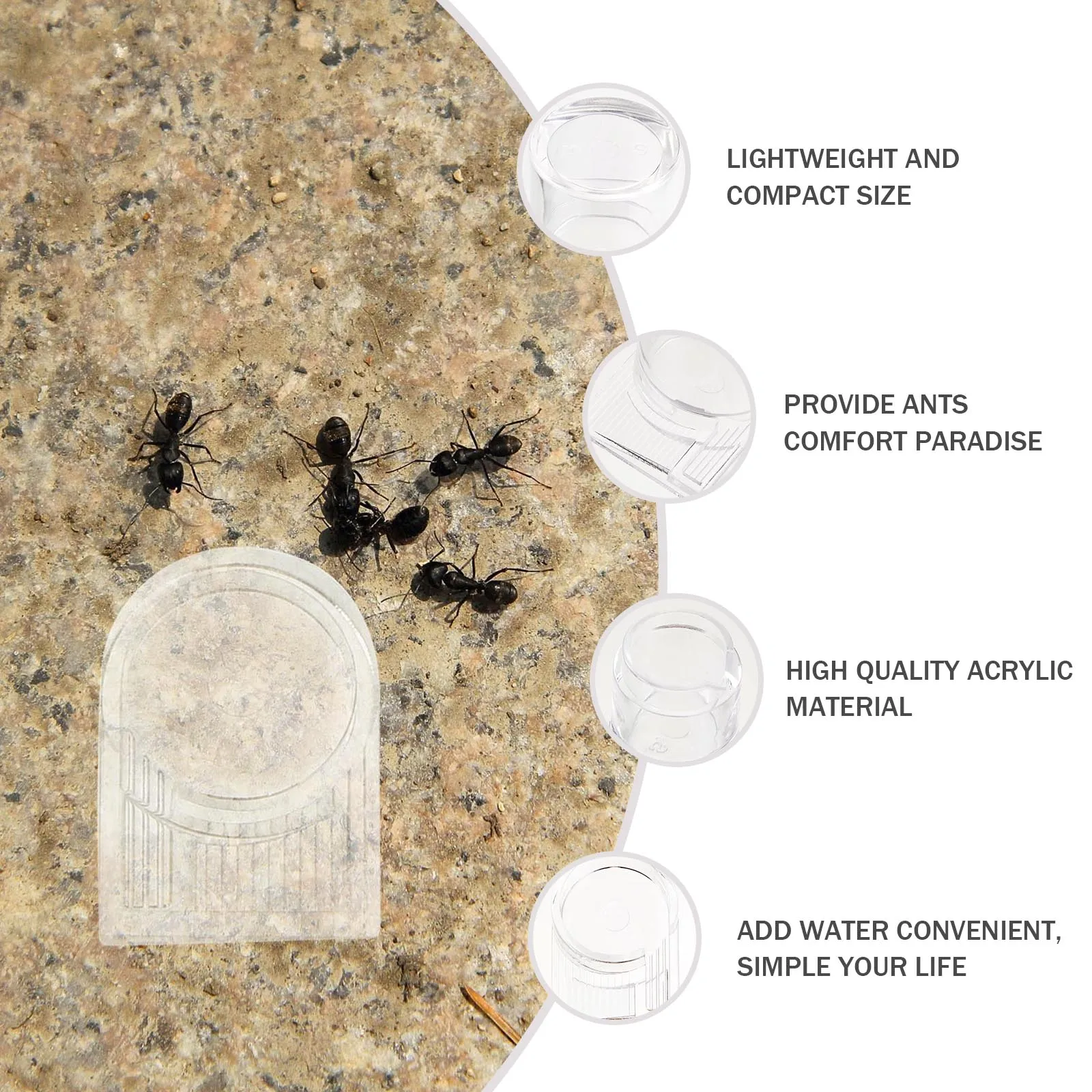 

2 pcs Ant Water Feeder Durable Acrylic Easy Cleaning Practical Use Feeding Accessory Nest Pet Supplies
