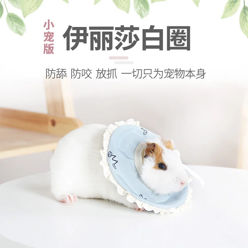 Small Pet Products Elizabeth Protection Ring Dutch Pig Protection Ring Small Pet Protection Cover Honey Flying Squirrel Care