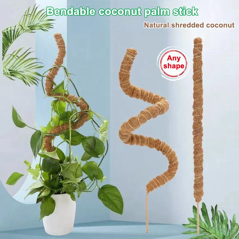 1 pièces poteaux de mousse pour plantes Monstera piquets de plantes grimpantes pliables Support de plante de voiture intérieure piquets de bâton de plante de treillis de jardin