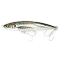 horse mackerel