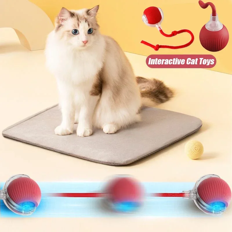 Cat Interactive Ball Toys Automatic Rolling Ball Faux Tail Rechargeable Smart Pet Electric Toy Dog Cat Training Imitate Mouse