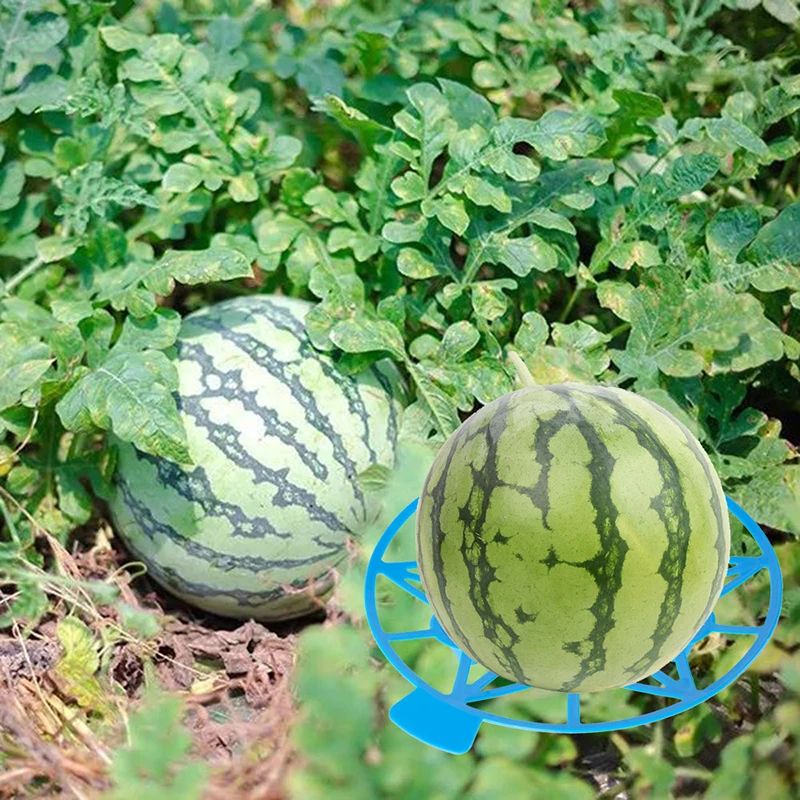 10 Buah Dudukan Semangka Buah Berdiri Keranjang Penyangga Bingkai Rak Baki Tanaman Sayuran Tempat Pelindung Labu Squash Melon