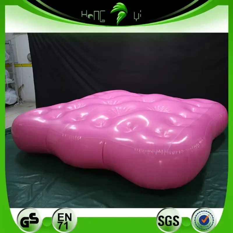 Shiny Pink Inflatable Water Bed Pool Toy Inflatable Mattress Float