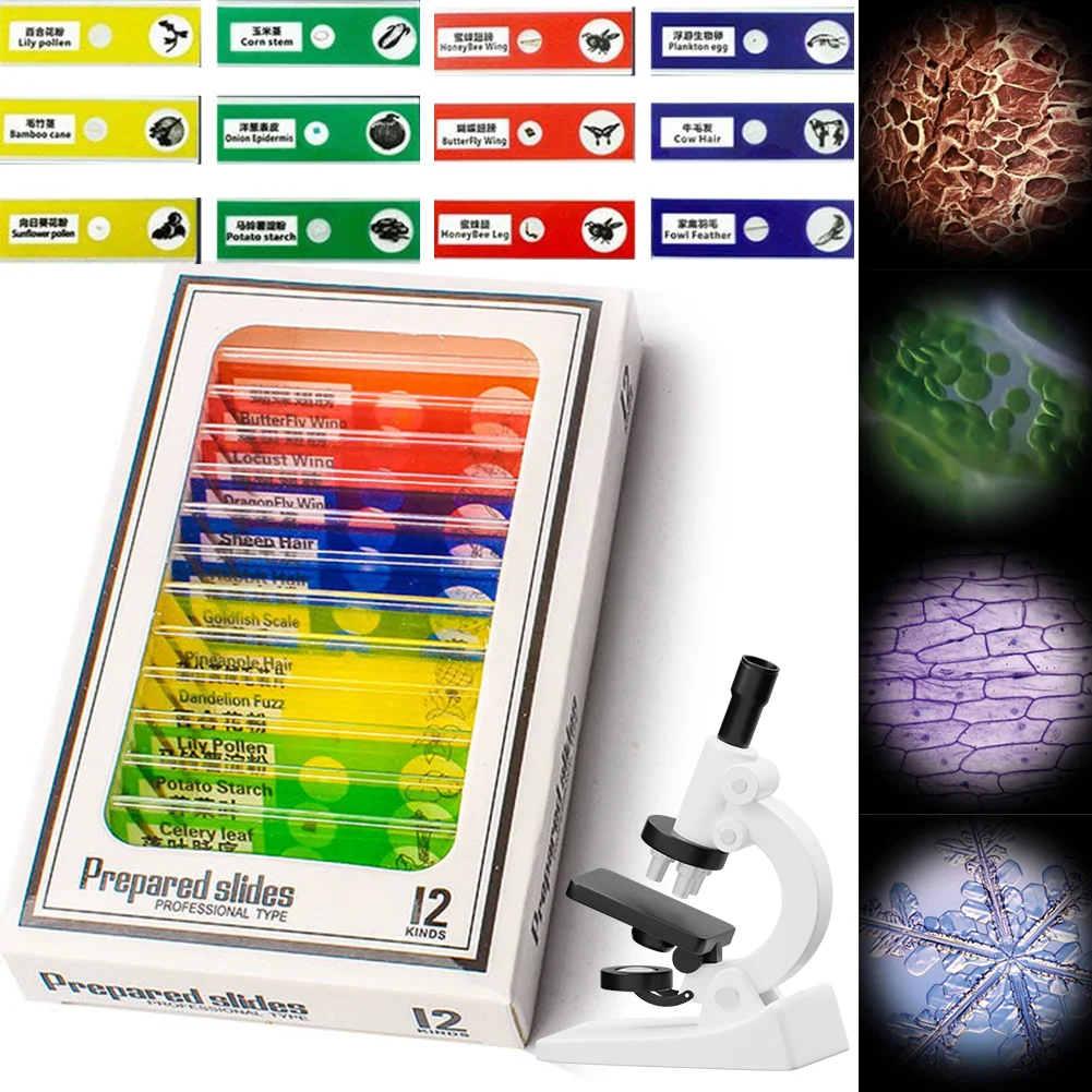 مجهر الجيب لتجربة العلوم للأطفال مع ضوء LED 60-120x يعمل بالبطارية ألعاب تعليمية للعلوم البيولوجية للمدرسة المنزلية #6