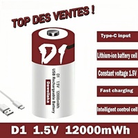NEW 1.5V D Size Lithium-ion Battery 12000mAh USB Rechargeable for Flashlights Water Heaters Toys Includes Free Charging Cable