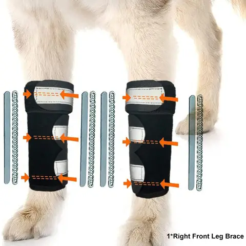 Bandes PC légères pour chien, attelle de jambe avant, sangles réglables, bandes réfléchissantes, Support articulaire, genouillère antidérapante et respirante, 1 pièce