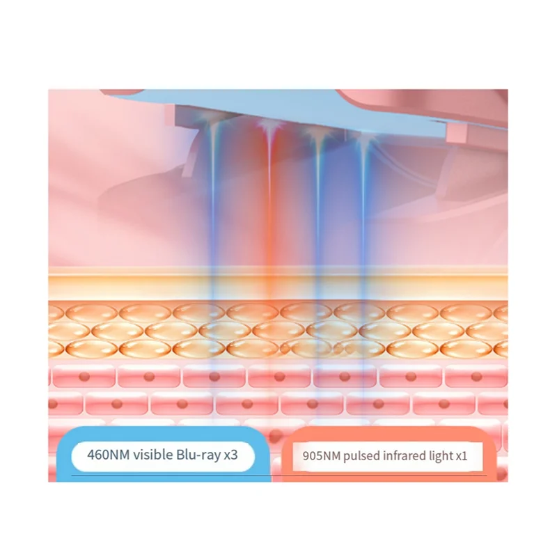 개인 손톱 관리를 위한 ABGP-네일 광선요법 장치 905Nm 적외선 470Nm 청색광