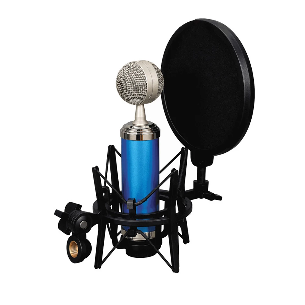 Microphone Shock Mount with Pop Filter Windscreen,Mic Shockmount to Reduce Vibration Noise For Recording Studio,Streaming