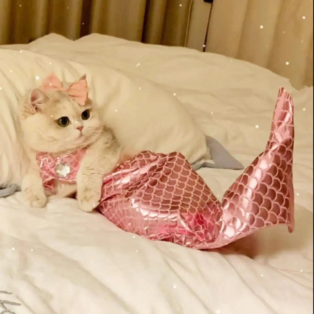 

Funny Decorative Cat Mermaid Crossdressing Polyester Soft Mermaid Pet Skirt with Bow Headband Pet Cosplay Costume Cosplay Party