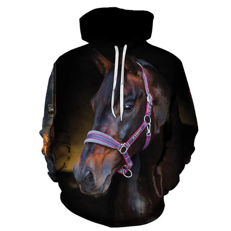 Rainbow Horse Fashion Style 3D Printed Hoodies Unisex Pullovers Hoodie Casual Sweatshirts Street Top Tracksuit
