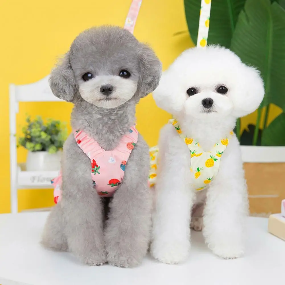 Dog Dresses Fruit Pattern Harness Design Puppy Skirt Soft Comfortable Dress Up Dogs Cats Dress With Traction Rope Pet Supplies