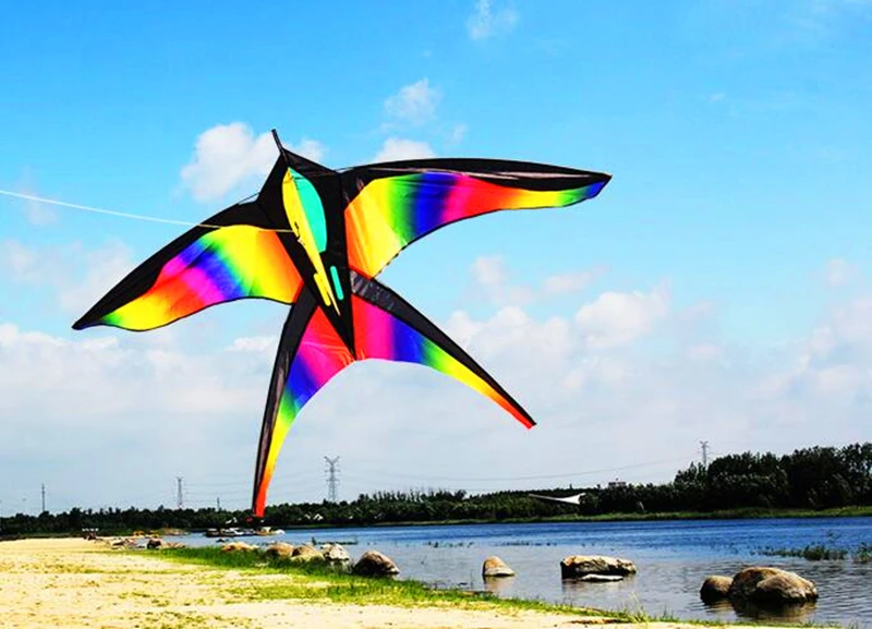 Pássaro arco-íris pipas para crianças pipas ripstop náilon pipas crianças pipas cobra linha voadora kitesurf fábrica águia koi jogo ao ar livre