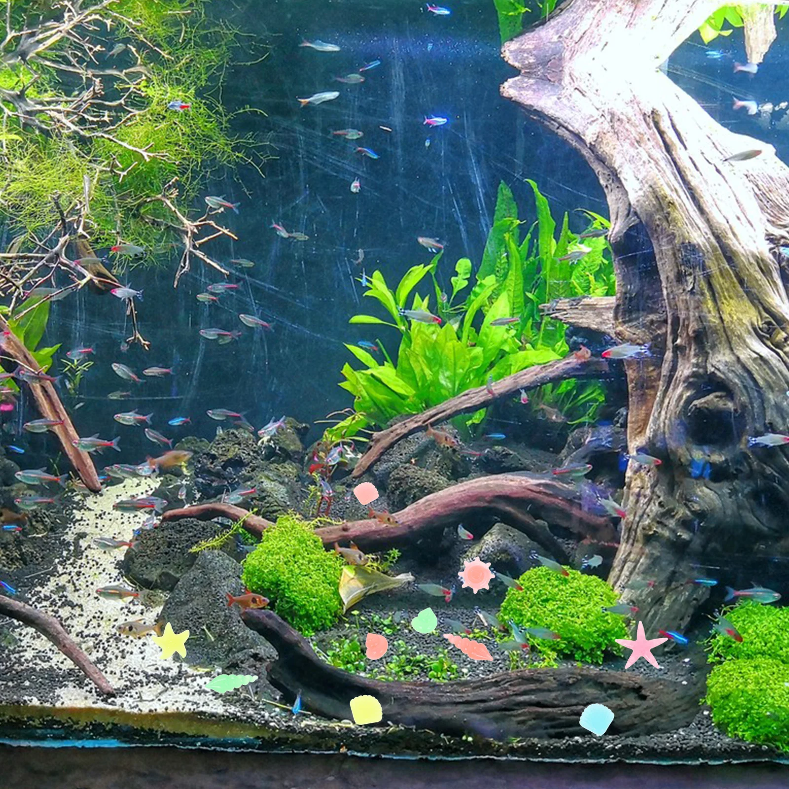 

50 Pcs Luminous Stones Aquarium Tank Rock Decor Pebbles Fish Decorations Gravel Rocks Glow Dark