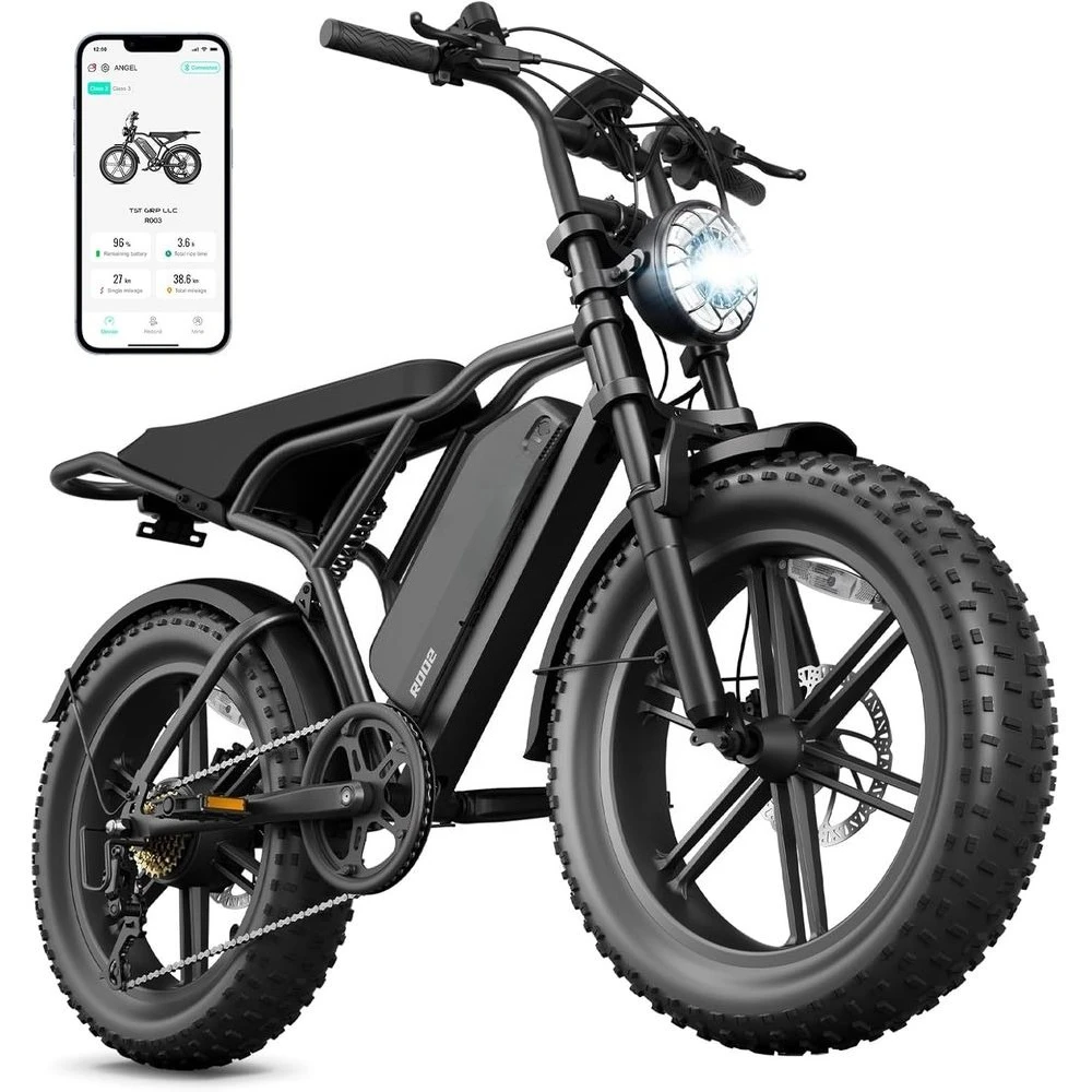 

Electric Bike or Adults, 1500W Peak Motor 28 MPH 60/100 Miles at Tire Ebike with 48V 15Ah/25Ah Removable Battery Customized