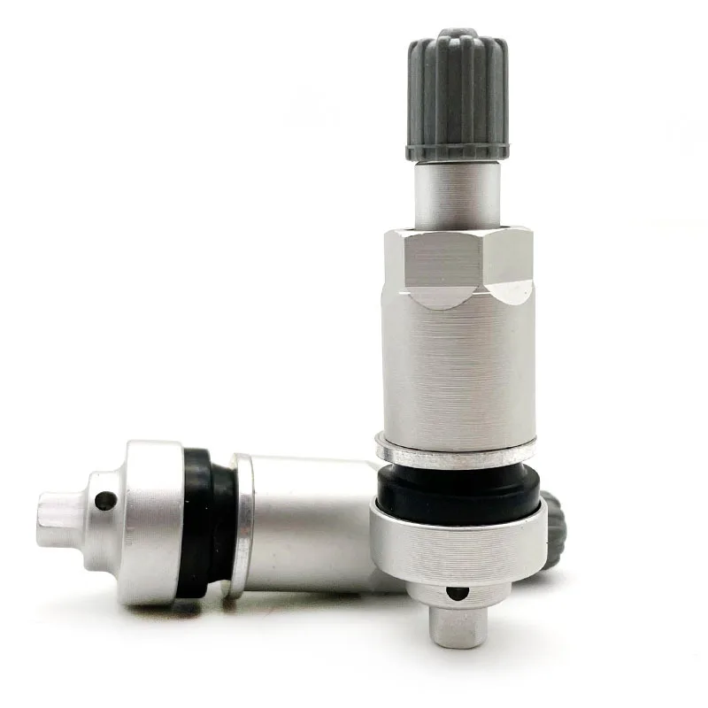 10pcs tire pressure sensor valve for Geely for Changan aluminum alloy valve Bo Yue Borui Dihao Vision for BYD for Buick TPMS-24
