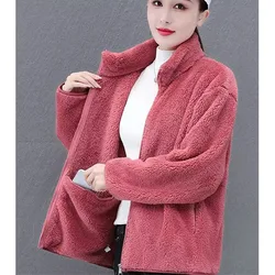 Female Stand Collar Polar Fleece Coat Spring Autumn Ladies Loose Sweatshirt Women Double Sided Coral Fleece Jacket