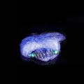 Blue--2Mesh