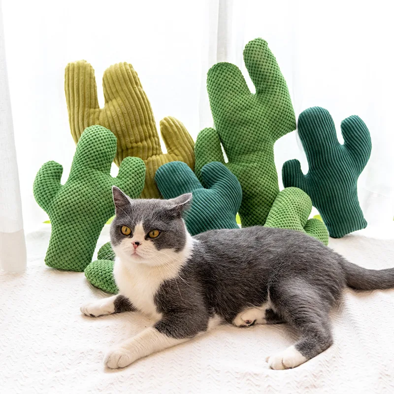 

Cactus Catnip Cat Toy Pet Plush Chew Dog Toys Teeth Grinding Chewing Durable Tug Fetch Bite Toys for Small Medium Large Cat Dogs