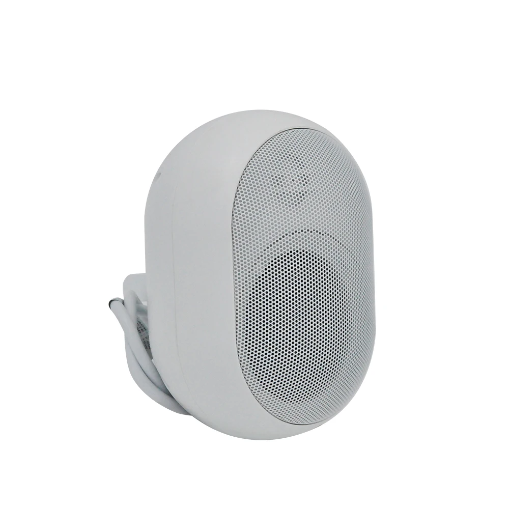 15W High Quality Outdoor Wall Mount Speaker Box Slim Stereo Pa Speaker for Park School Shopping Mall Background Music Player