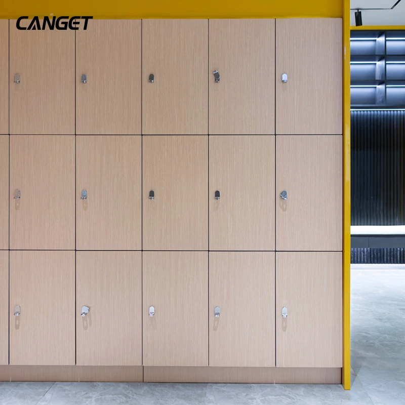 مخصص. خزائن الصالة الرياضية الخشبية المدمجة HPL مع قفل الوسادة سبا #2