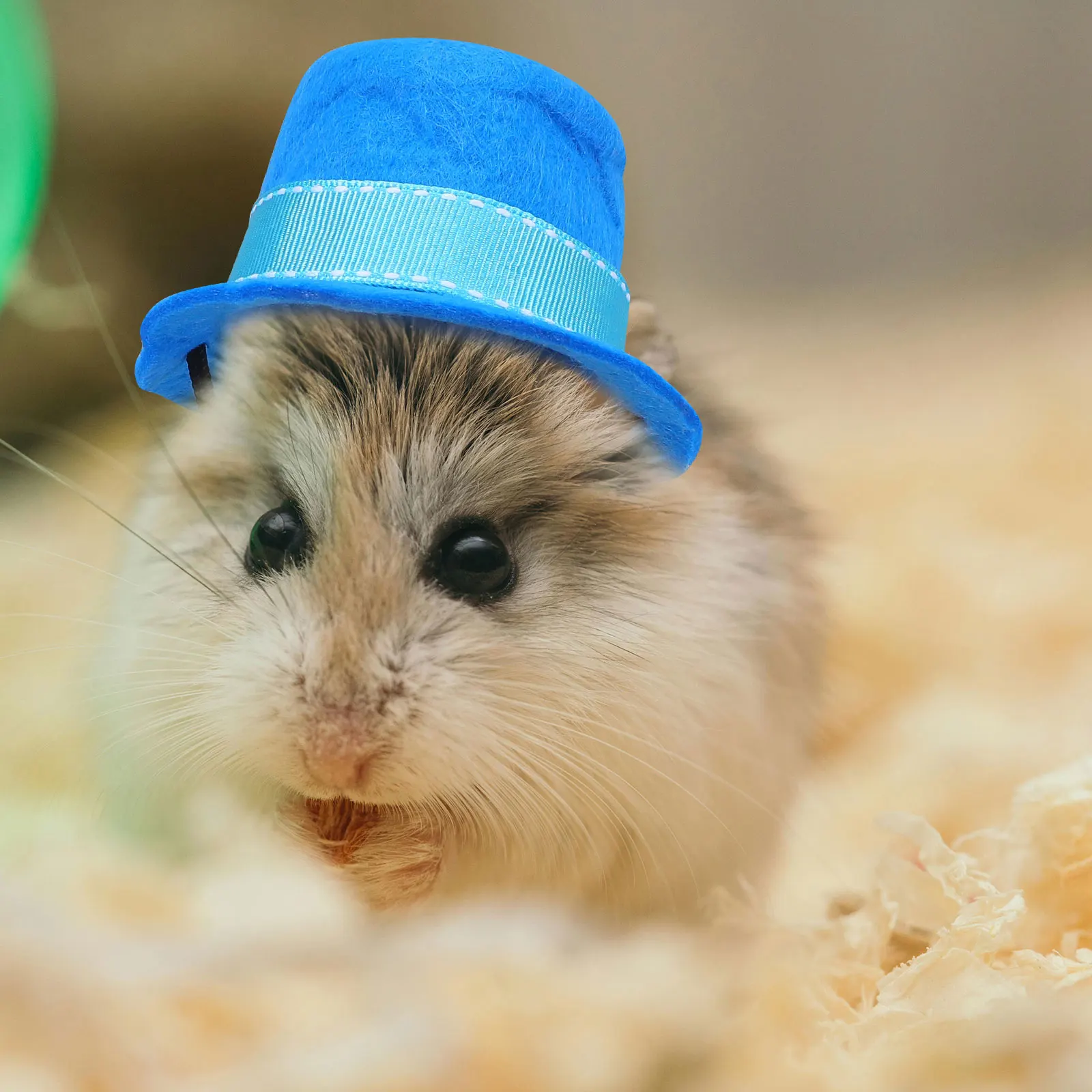 

Pet Hats Tie Costume Small Animals Pets Decors Outfit Stylish Comfortable Polyester Material Easy Wear Accessories