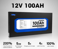 Deep Cycle 5cm Ultra Slim Lithium Battery 12V 100Ah Slimline Lifepo4 Lithium Ion Battery for RV 4X4 Camping