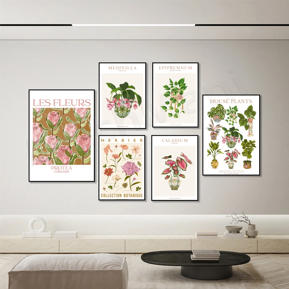 Póster botánico, margarita, lirio, ficus, strelitzia, póster de Medina, planta de interior, ilustración botánica, póster de naturaleza, arte floral