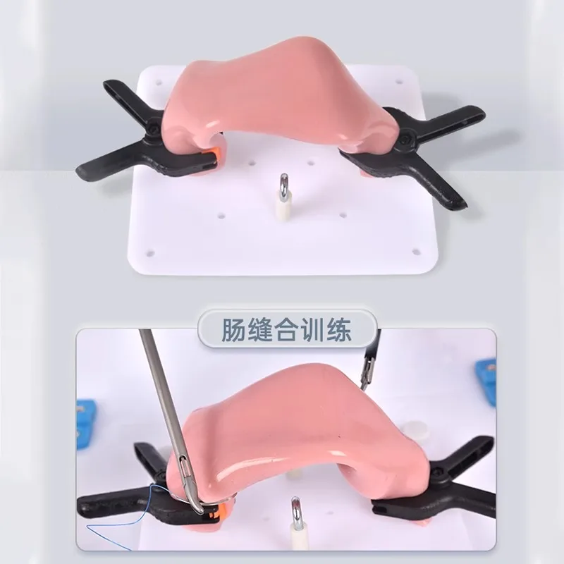 Intestinal suture model with bracket clip for laparoscopic surgery training anastomosis practice