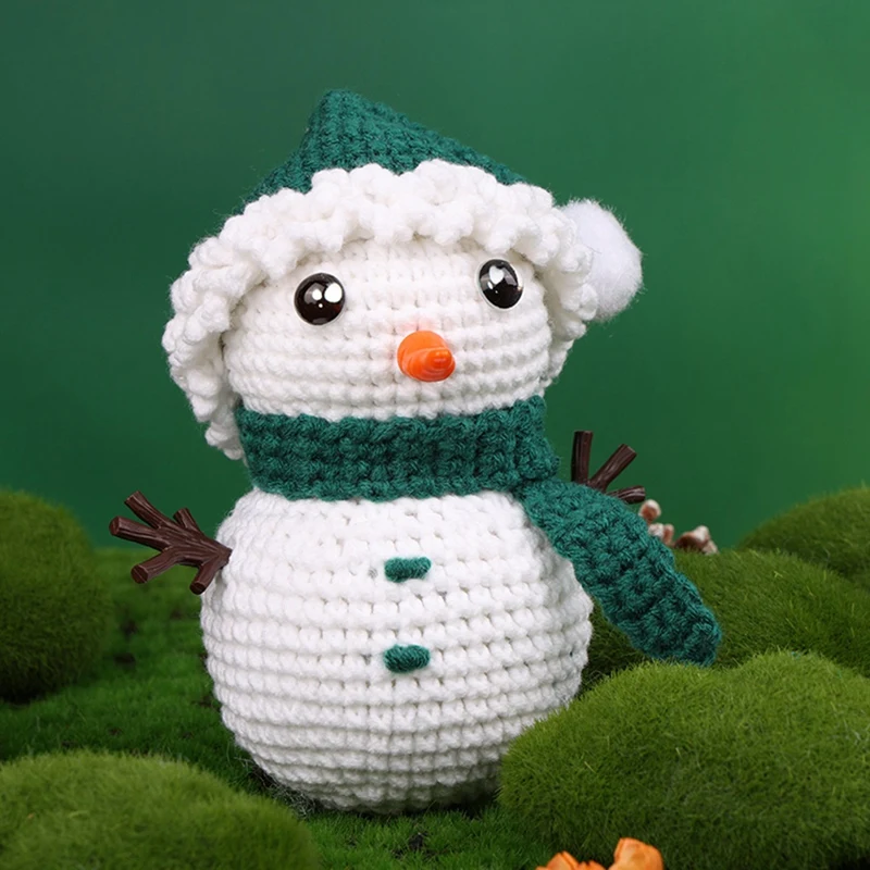 Anfänger Häkel set Kit Sukkulente Weihnachts serie Häkel set mit Anleitung Tutorials Video Tutorials Garn Haken Nadeln