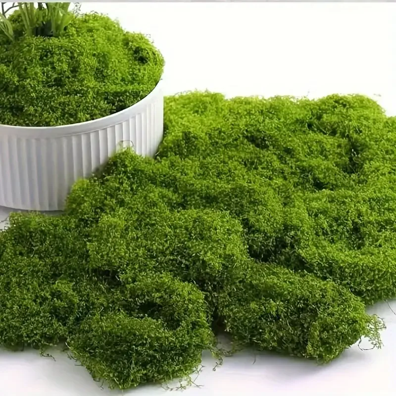 Lifelike Artificial Moss for DIY Crafts & Home Decor - Evergreen Plant Accent for Indoor Landscapes, Wedding Decorations & More