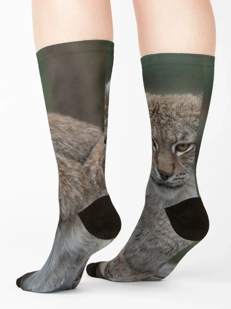 Lynx Looking At You Socks new in's designer brand Boy Socks Women's