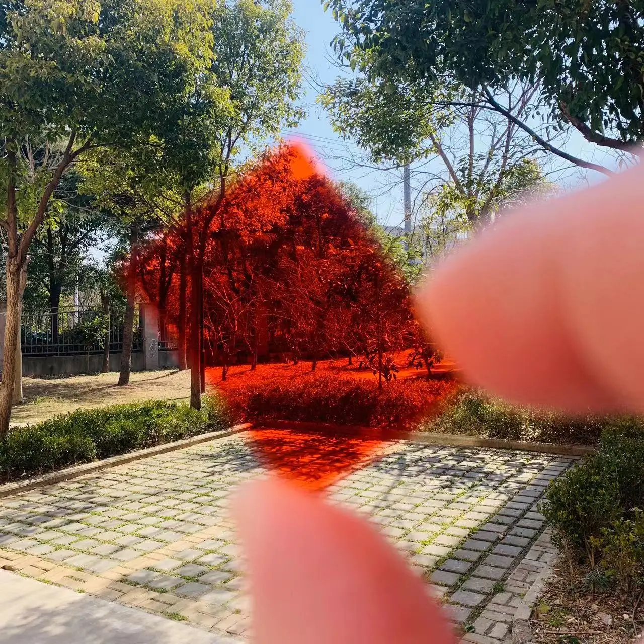 15 pezzi dimensioni totali 29x21x1mm 590nm vetro filtro passa IR per fotografia a infrarossi della fotocamera
