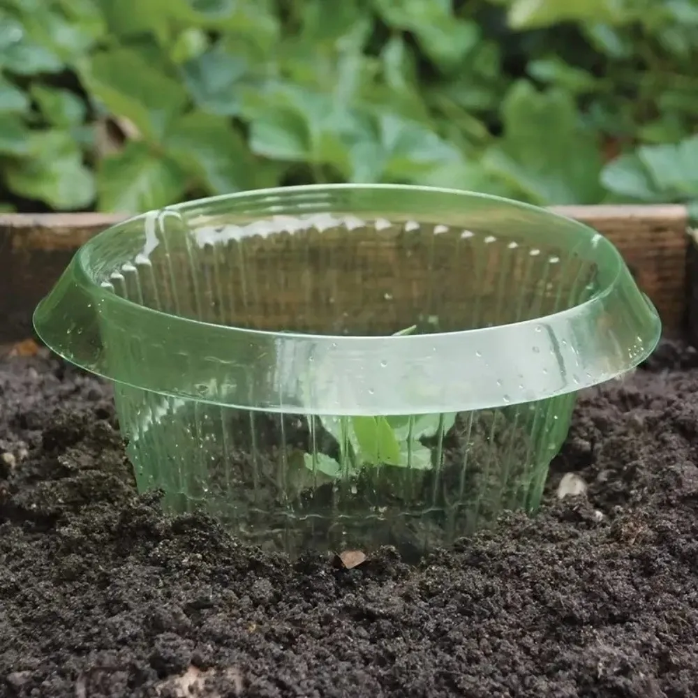 

10PCS Plastic Vegetable Slug Collars Thickened Insect-Proof Slug Snail Protection Guard Round No Light Blocking Garden Cloches