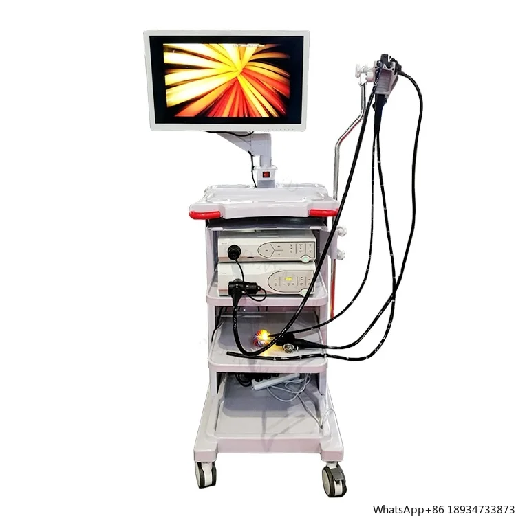 SY-P006 Sunnymed Medical Hospital Electronic Video Colonoscope gastroscope