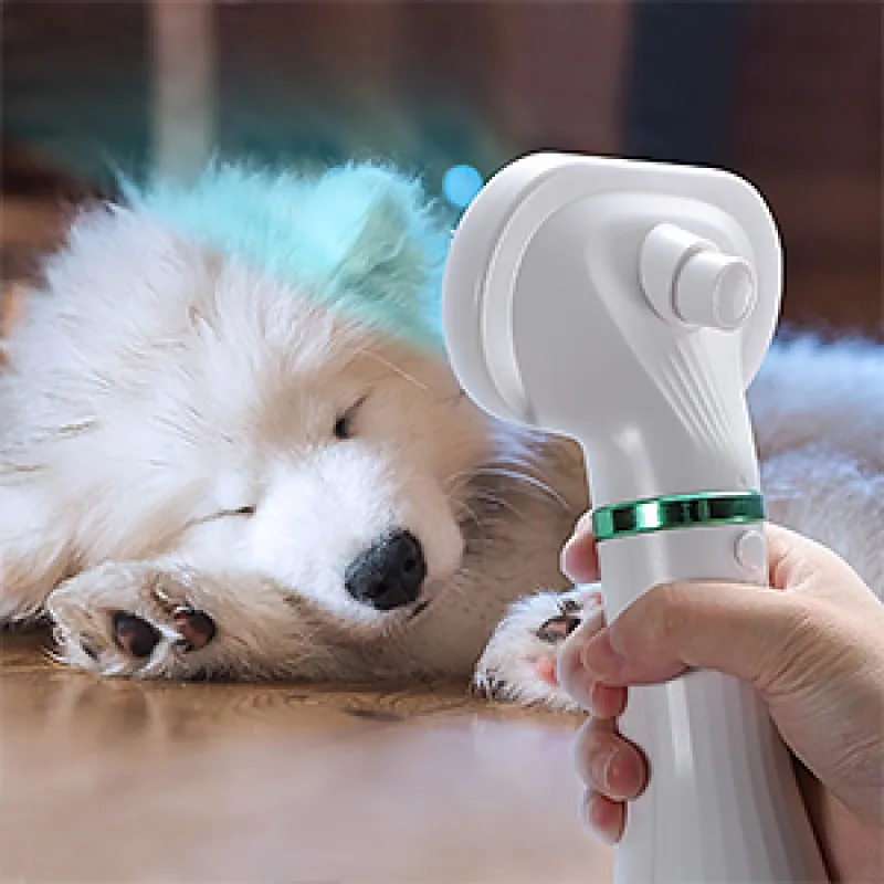 Pet Hair Dryer 2-in-1 Pet Cleaning Beauty Hair Dryer Puppy Hair Care Supplies Low Noise Pet Cleaning Beauty Hair Dryer Comb