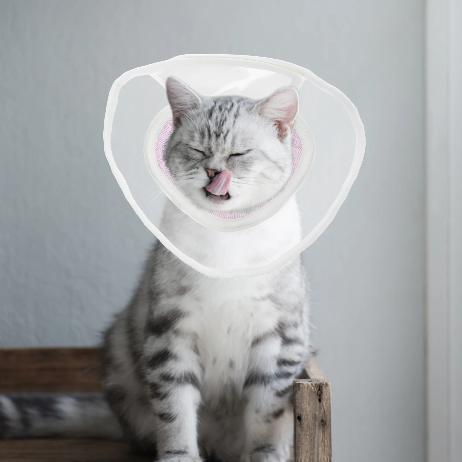 

Cat Recovery Collar High-Grade Breathable Lightweight Soft Anti-Scratch Postoperative Pet Cone Collar Portable Cat Collars