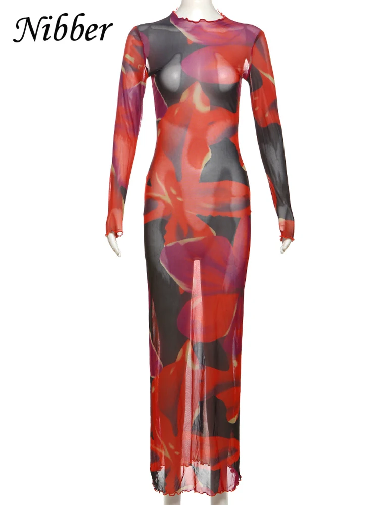 Nibber Colorful Print Dress Women Velvet See Through Skinny Full Sleeve Lace Hem Autumn Trend Stretch Casual Basic Long Bodycon