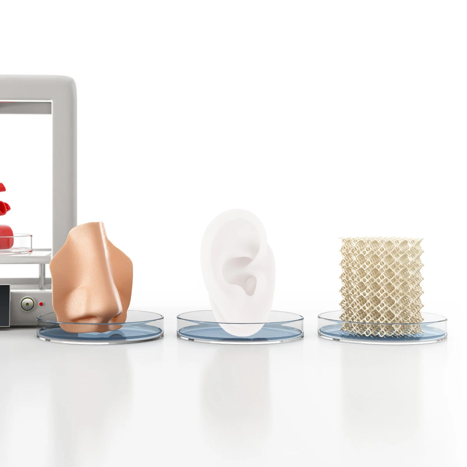 Silicone Ear Model Simulation Display Jewelry Earring Piercing Practice Tool Body Parts