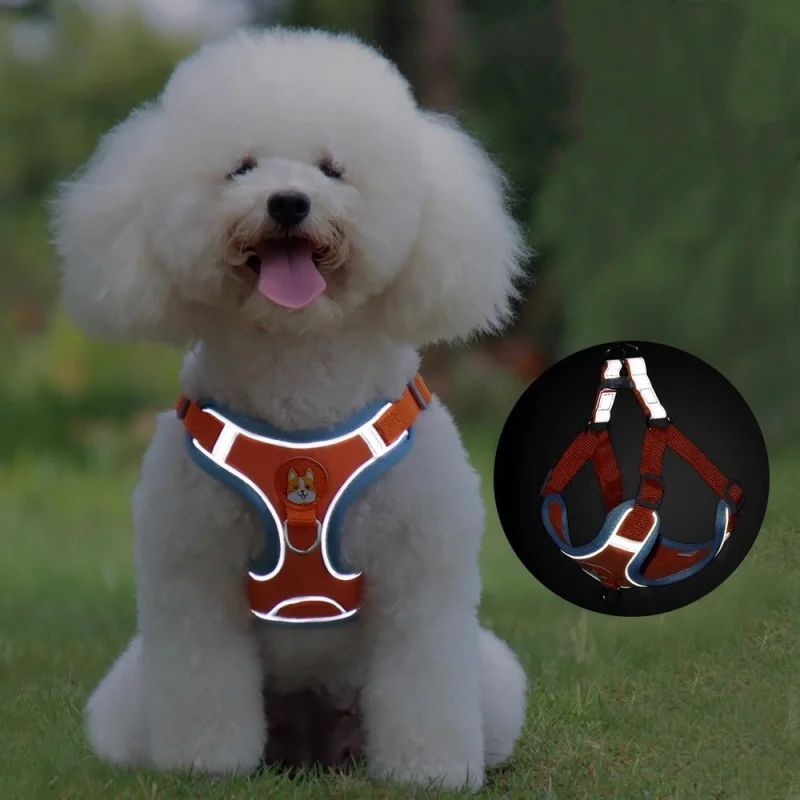 Thumbnail 2 - #14 Best Dog Leads to Buy In 2026