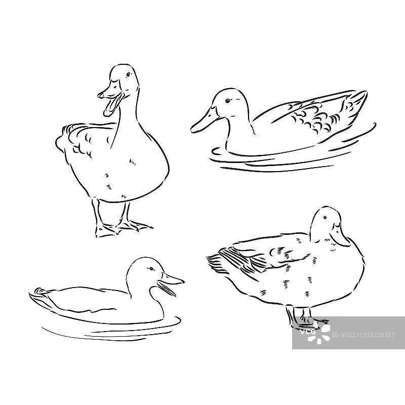 

UDRIC UD1609 1/16 Scale 4WD Brushless RC Rally Car, High Speed Remote Control Drift Racing Vehicle with LED Lights Adults Kids