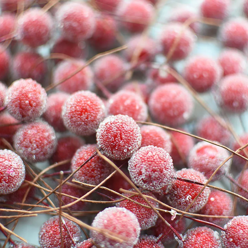 

20pcs Mini Fake Plastic Fruit Artificial Flowers Frost Glass Berries Stamen Cherry DIY Bouquet for Party Christmas Decoration