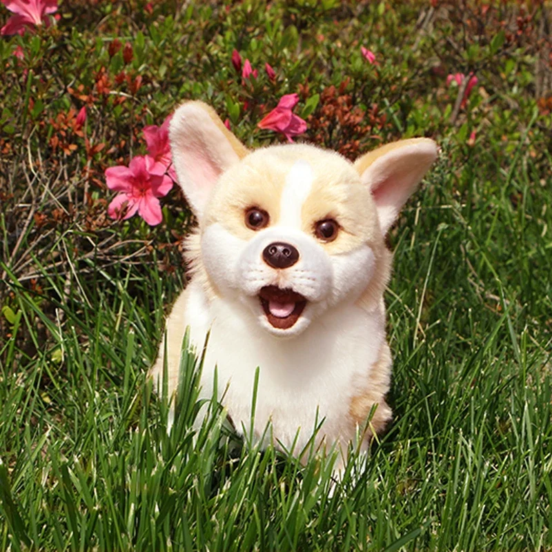 Juguete de peluche de perro Corgi Galés para niños, cachorros de Pembroke, Animal de peluche de la vida Real, simulación suave, muñeca para niños, regalos de cumpleaños