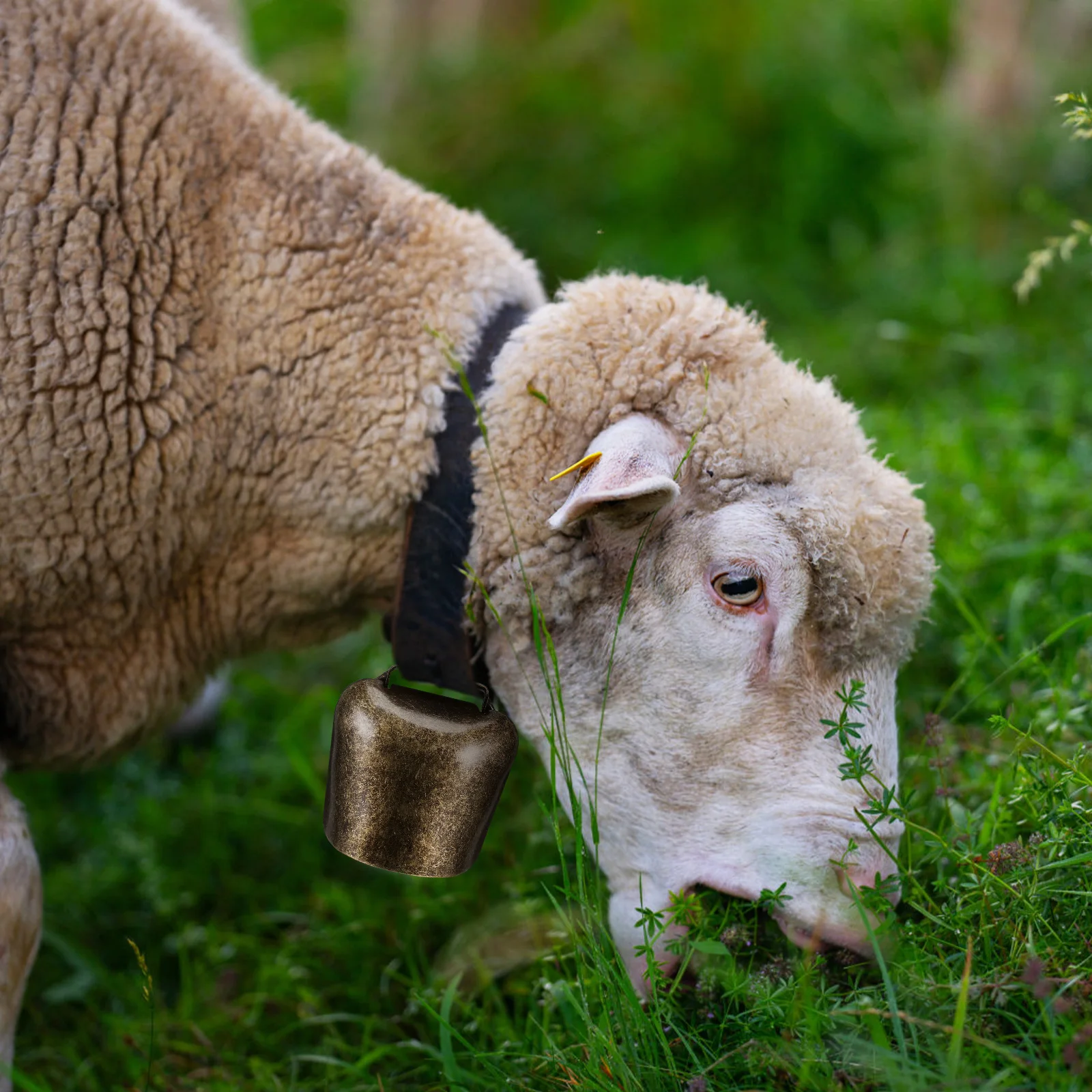 

2Pcs Thickened Animal Hanging Bell Hanging Decor Farming Bell Accessories for Sheep Horse Cow Durable Iron Crisp Sound