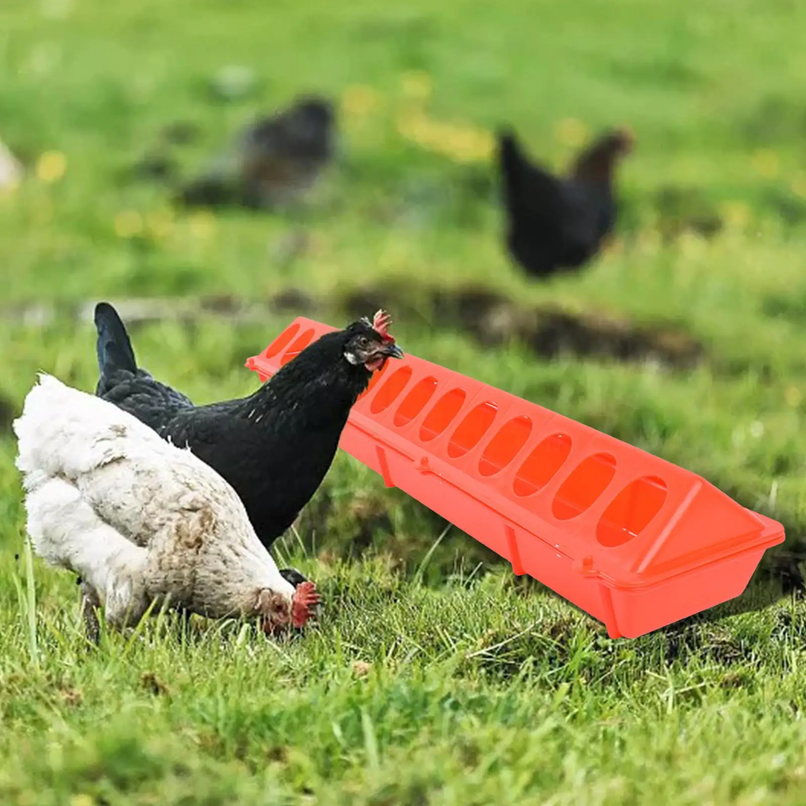 Comedero de plástico para aves de corral, dispensador de comida de canal largo, cuenco de agua para ganado, cacatúas, periquitos, pavo real