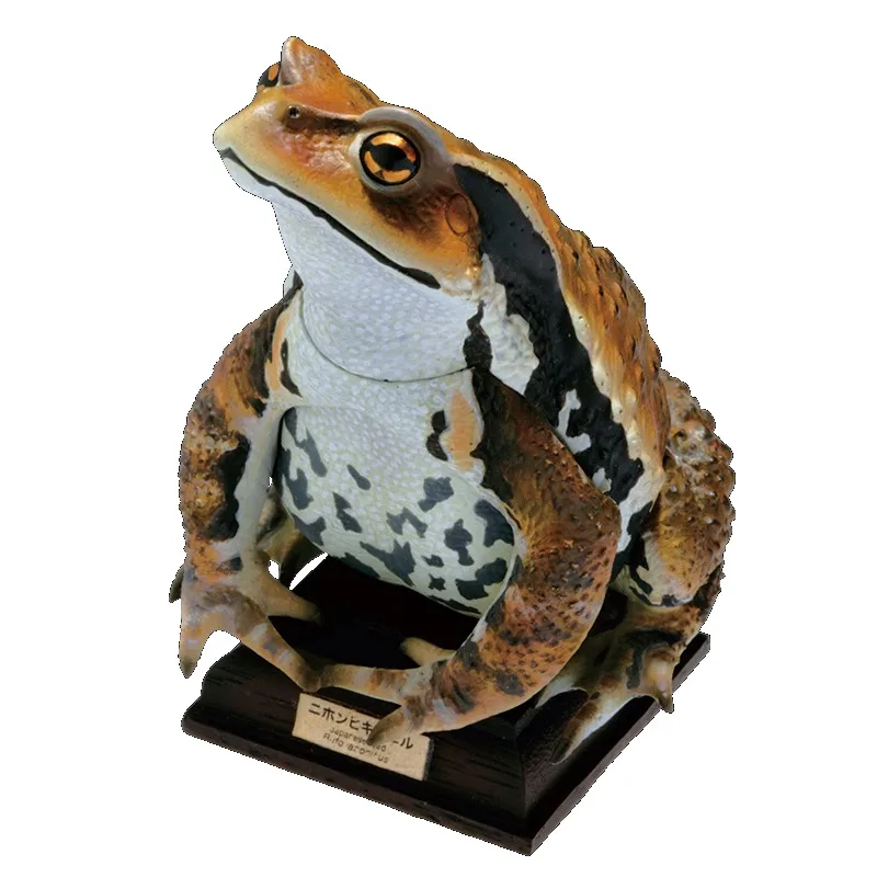 Original KITAN CLUB Gashapon Frog Toad Qversion Mini Anime Animal Action Figure Model Toys Gifts Cartoon Character Collection