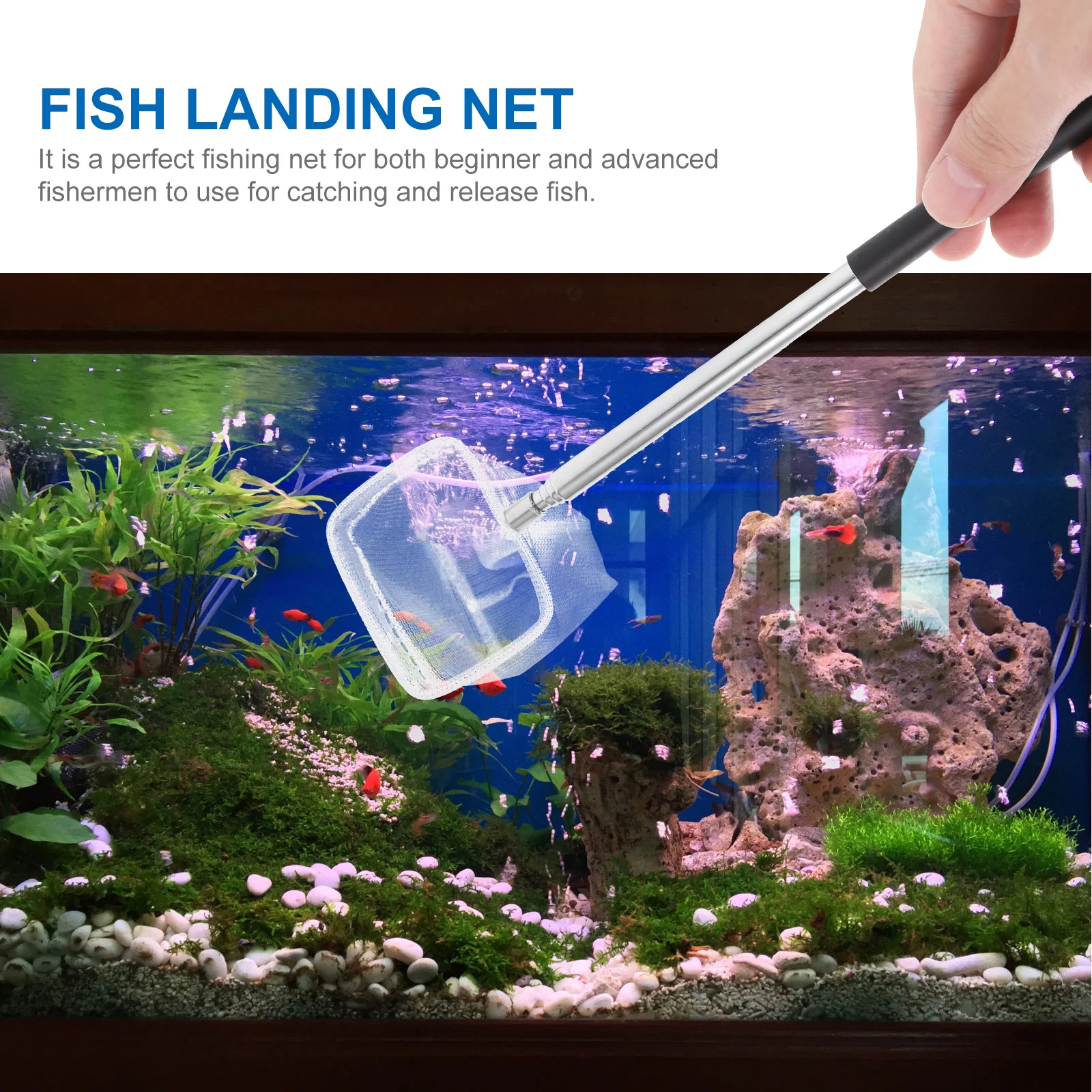 2 قطعة شبكة الروبيان تلسكوبية من الفولاذ المقاوم للصدأ شبكة أرضية الأسماك للمياه العذبة والمياه المالحة أداة صيد الأسماك المحمولة #1