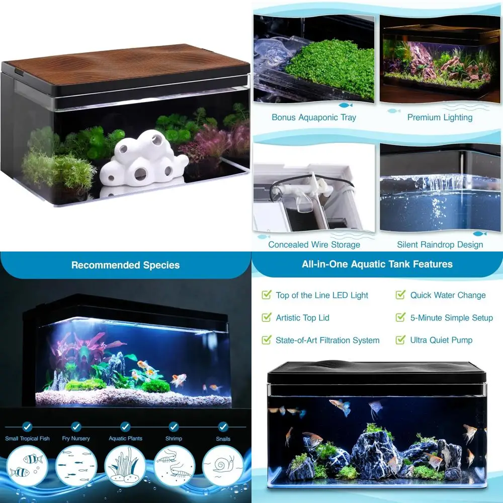 

Clairnara Harmony Aquarium Deluxe: 8 Gallon Freshwater Tank with LED Lighting, Silent Pump, and Patented Filtration System