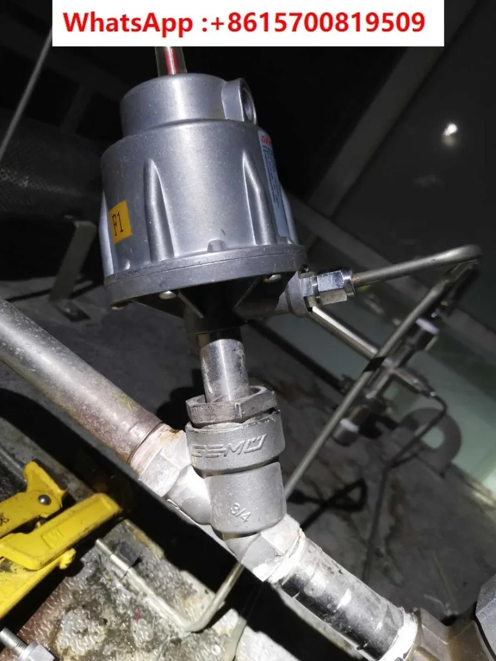 Pulse Vacuum Steril…