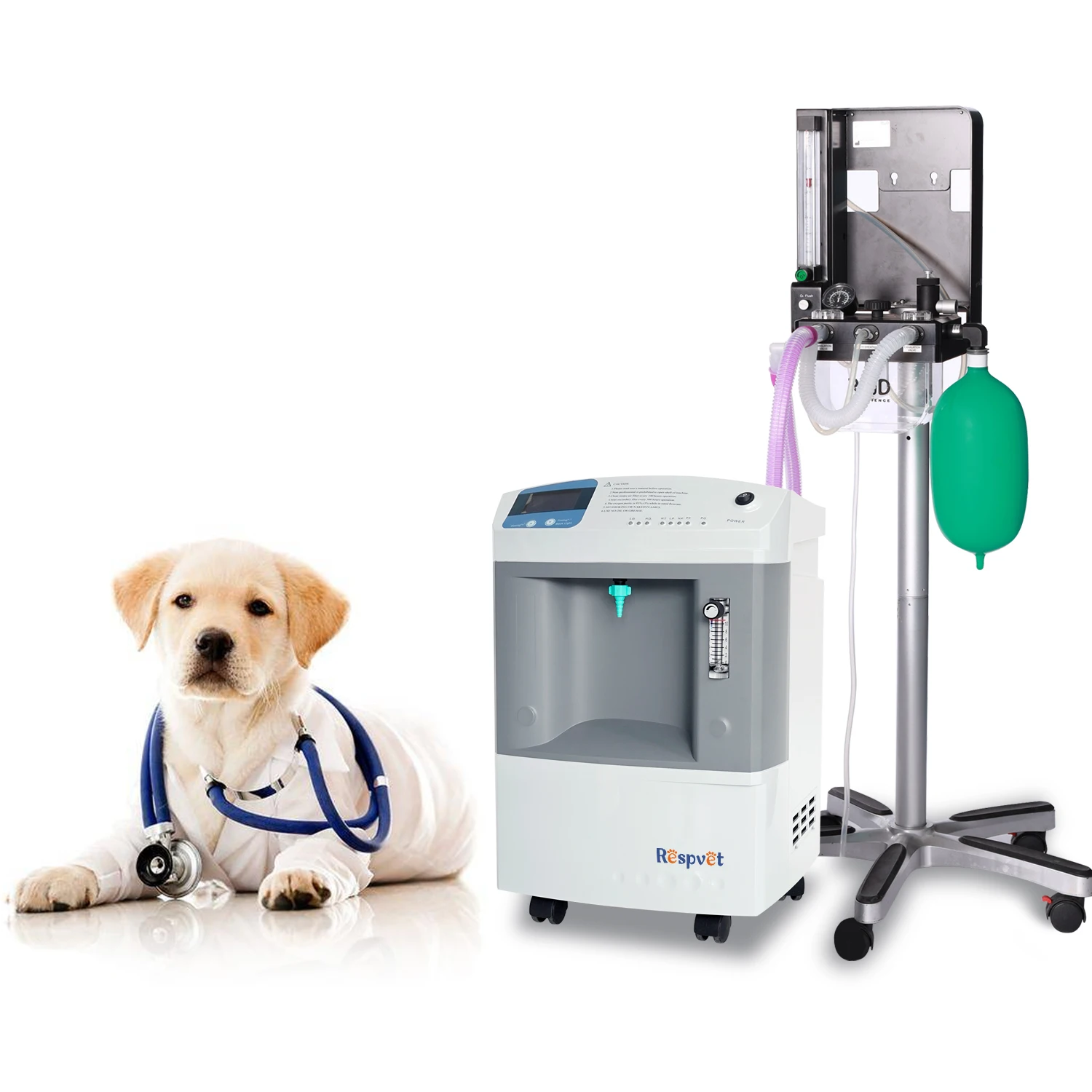 Hospital Equipment Veterinary Pet 10 Liter Oxygen Concentrator For Surgical Therapy